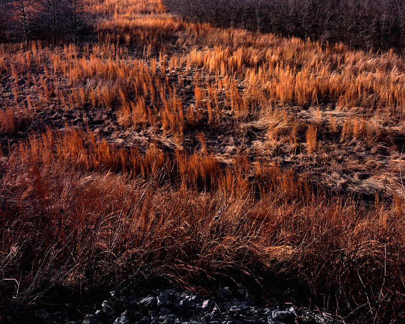 interstate landscapes
