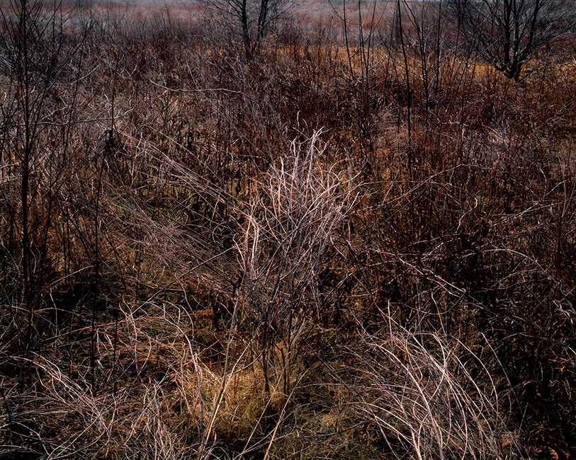 interstate landscapes