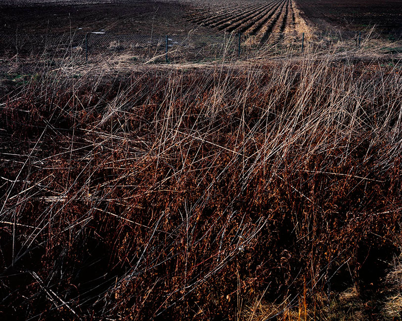 interstate landscapes