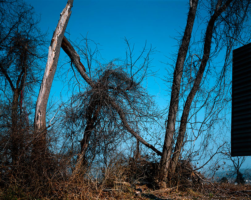 interstate landscapes