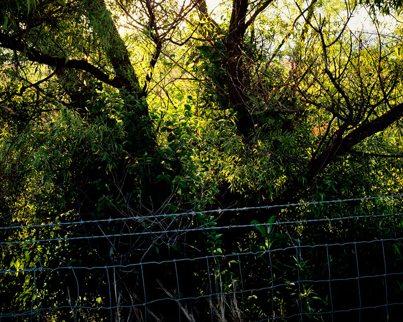 interstate landscapes