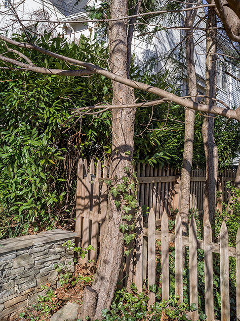 privacy plantings 8