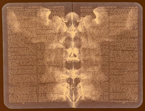 rorschach bible pages