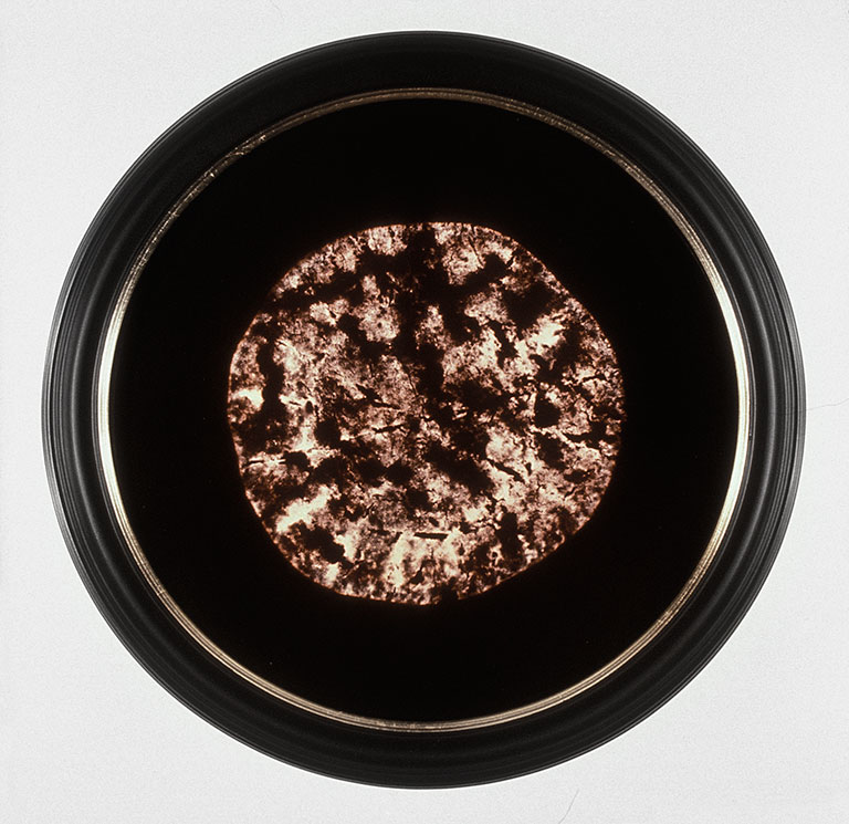 transubstantiation