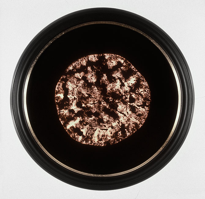 transubstantiation